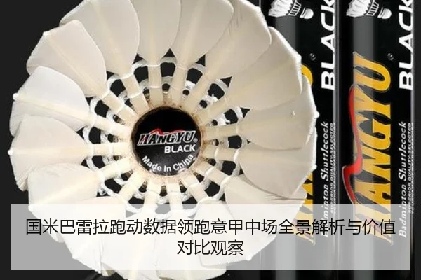 国米巴雷拉跑动数据领跑意甲中场全景解析与价值对比观察