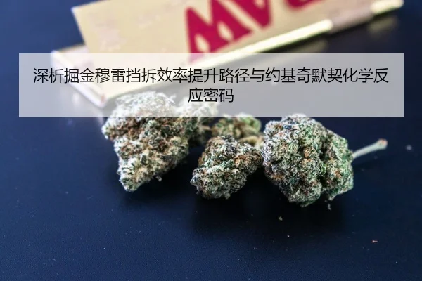 深析掘金穆雷挡拆效率提升路径与约基奇默契化学反应密码